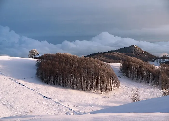 Hotel 13 Comuni Ristorante E Aparthotel